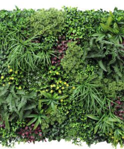 Jardín Vertical Papua